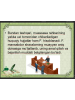 ISH YURITISHNI TAKOMILLASHTIRISH YO`LLARI (11-bet)