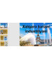 Xalqaro turizm industriyasi