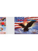 American Holidays