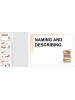 NAMING AND DESCRIBING